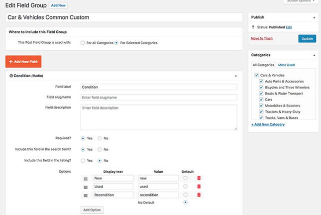 Unlimited custom fields classilist theme