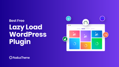 lazy load WordPress plugin