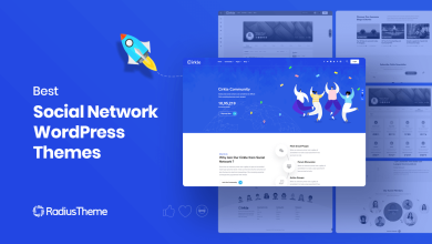 Social Network WordPress Theme